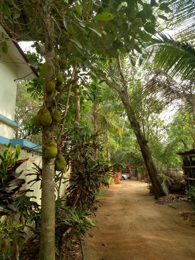 Apartamento Agape Marari Mararikulam Exterior foto